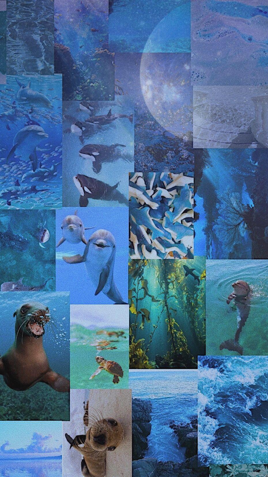 Ocean Aesthetic Wallpaper