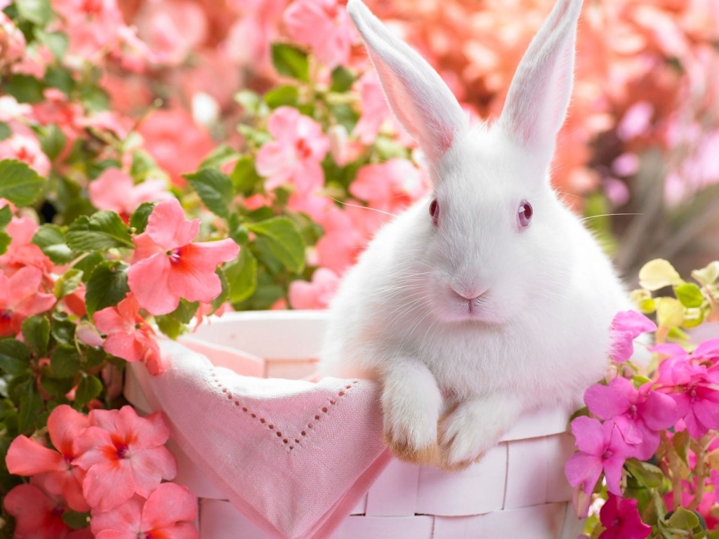 Rabbits Easter Baskets Wallpaper High Resolution