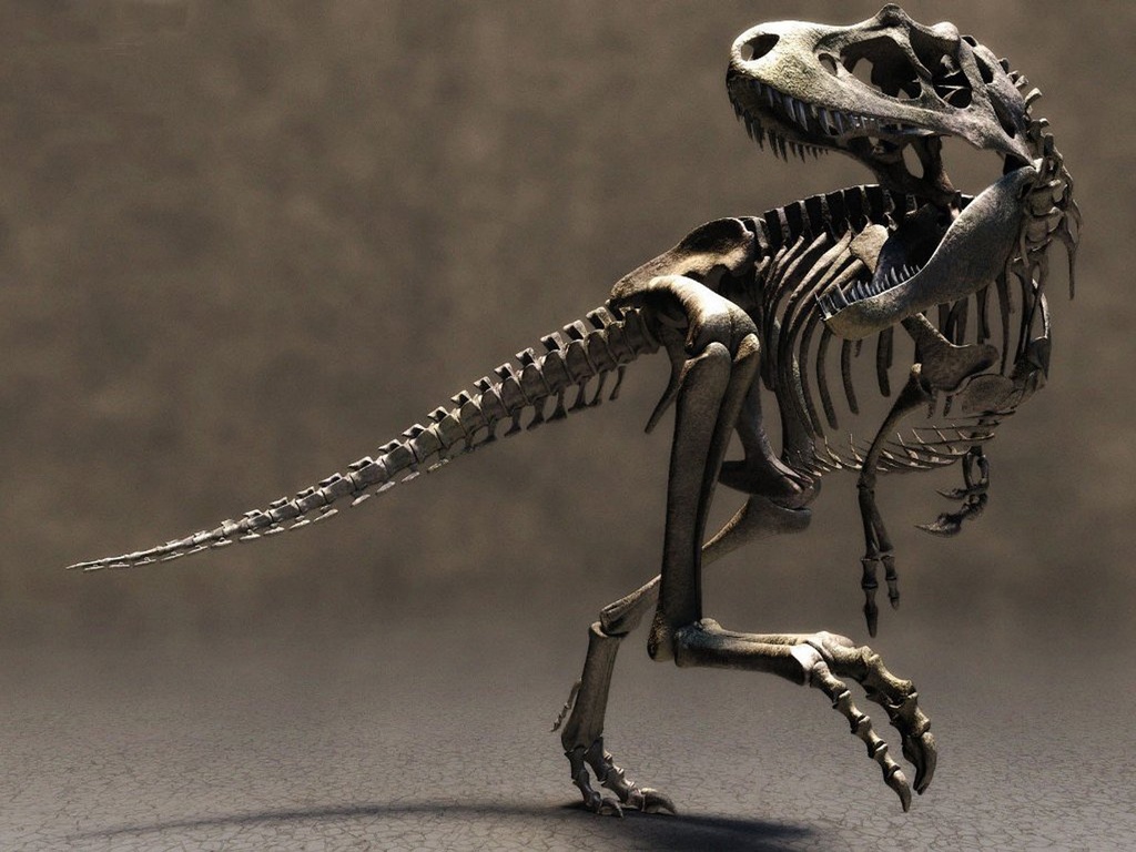 Dinosaur Skeleton Skull