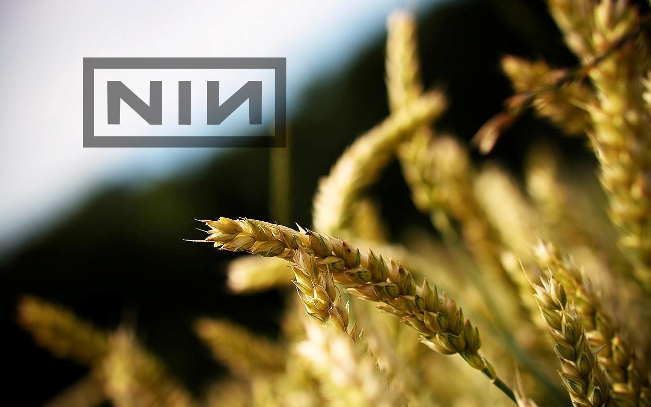 Nine Inch Nails HD Wallpaper Color Palette Tags