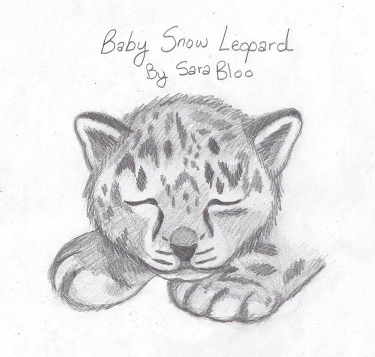 Baby Snow Leopard By Ibloocat