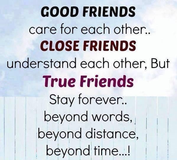 Best Friendship Quotes For True Friends