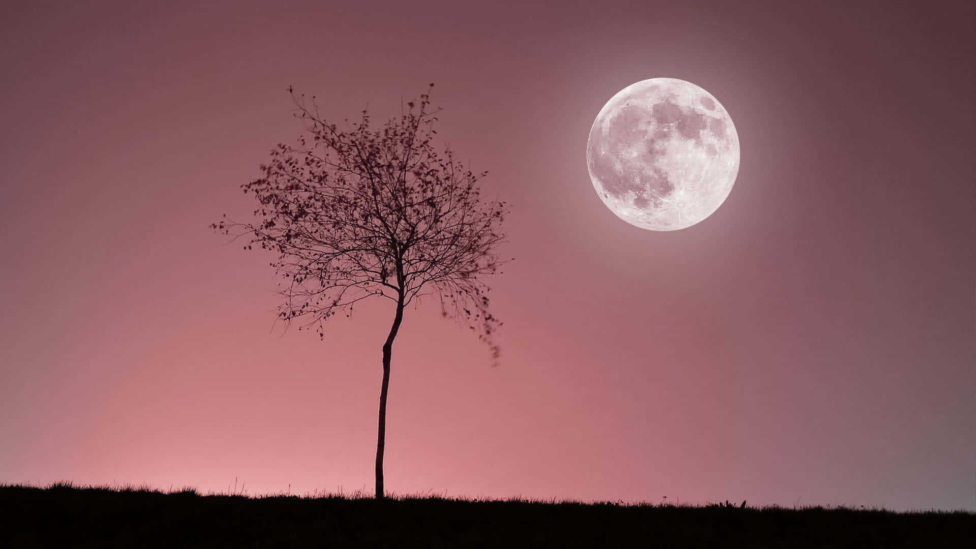 Aesthetic Moon Wallpaper