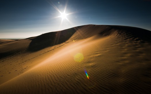 Desert Sun Wallpaper