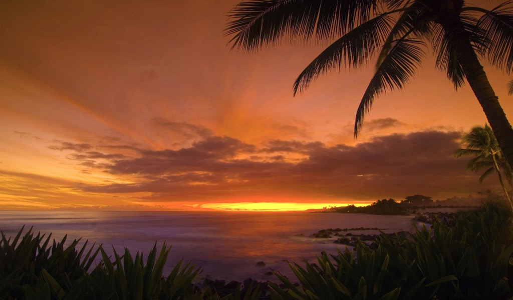 Tropical Sunset Wallpaper Landscape Nature Wallpapers in jpg format