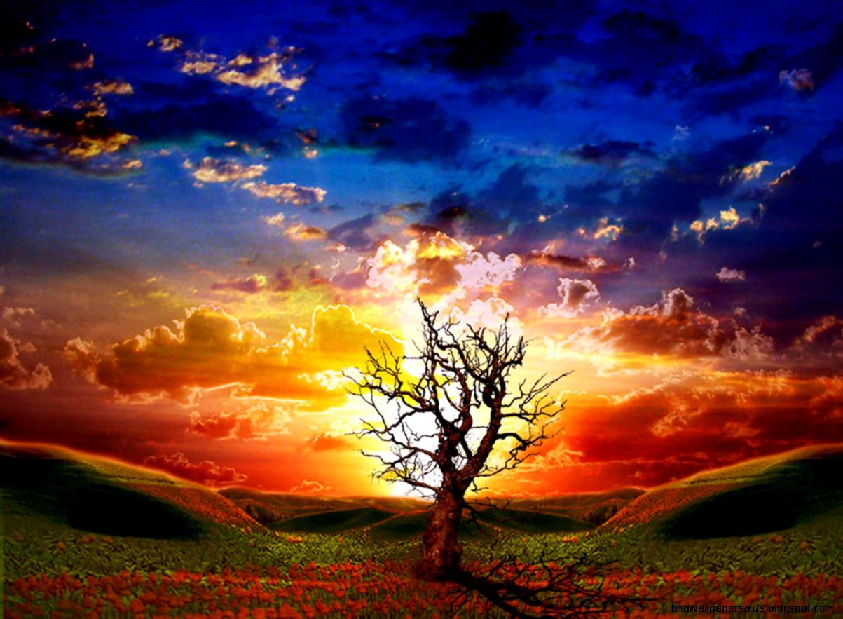 Animated Desktop Wallpaper