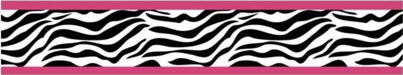 Zebra Print Wallpaper Border Grasscloth
