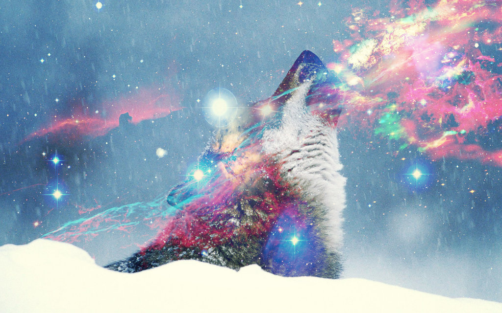 Hipster Wolf Wallpaper On