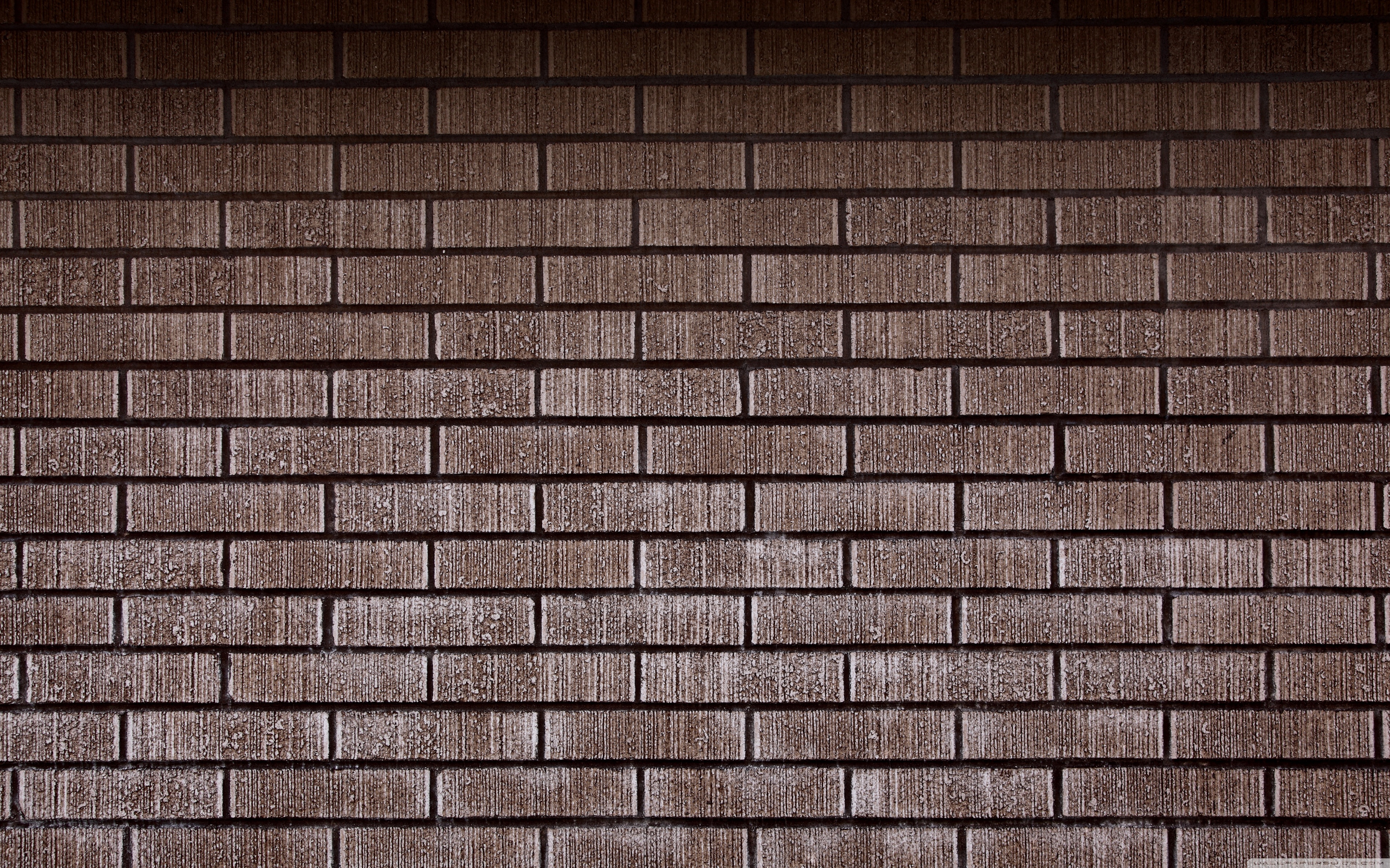 Brick Wall 4k HD Desktop Wallpaper For Ultra Tv Dual