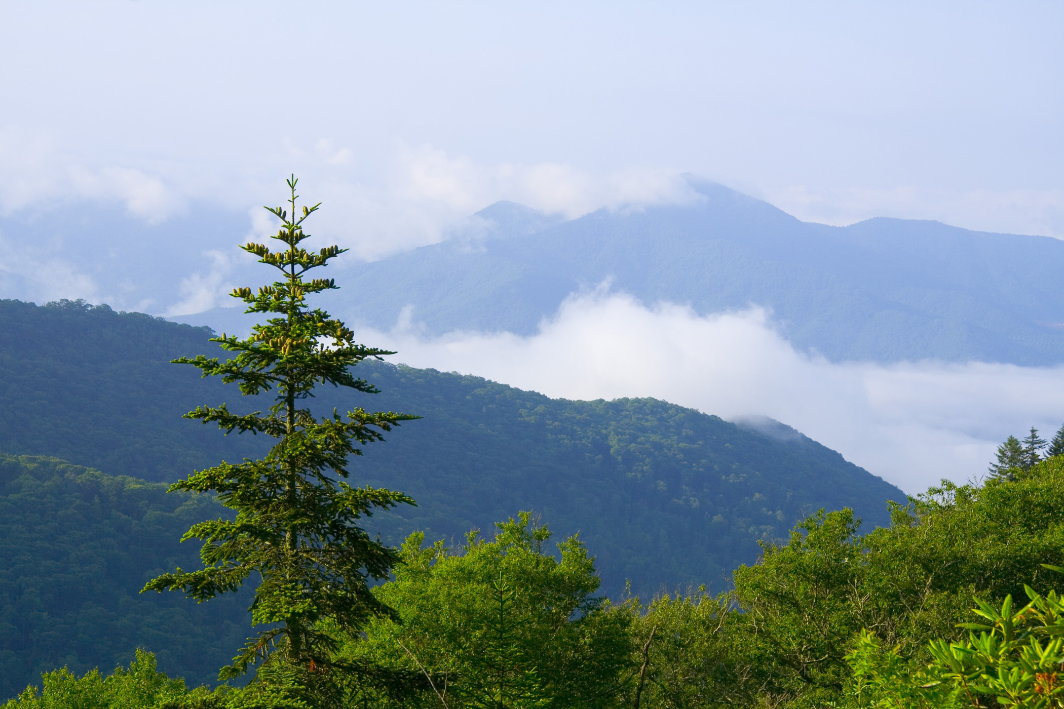 HD Wallpaper Great Smoky Mountains National Park X Kb