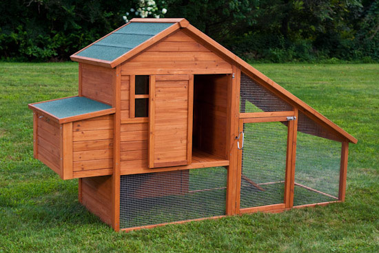 The Saltbox Coop With Run From My Pet Chicken