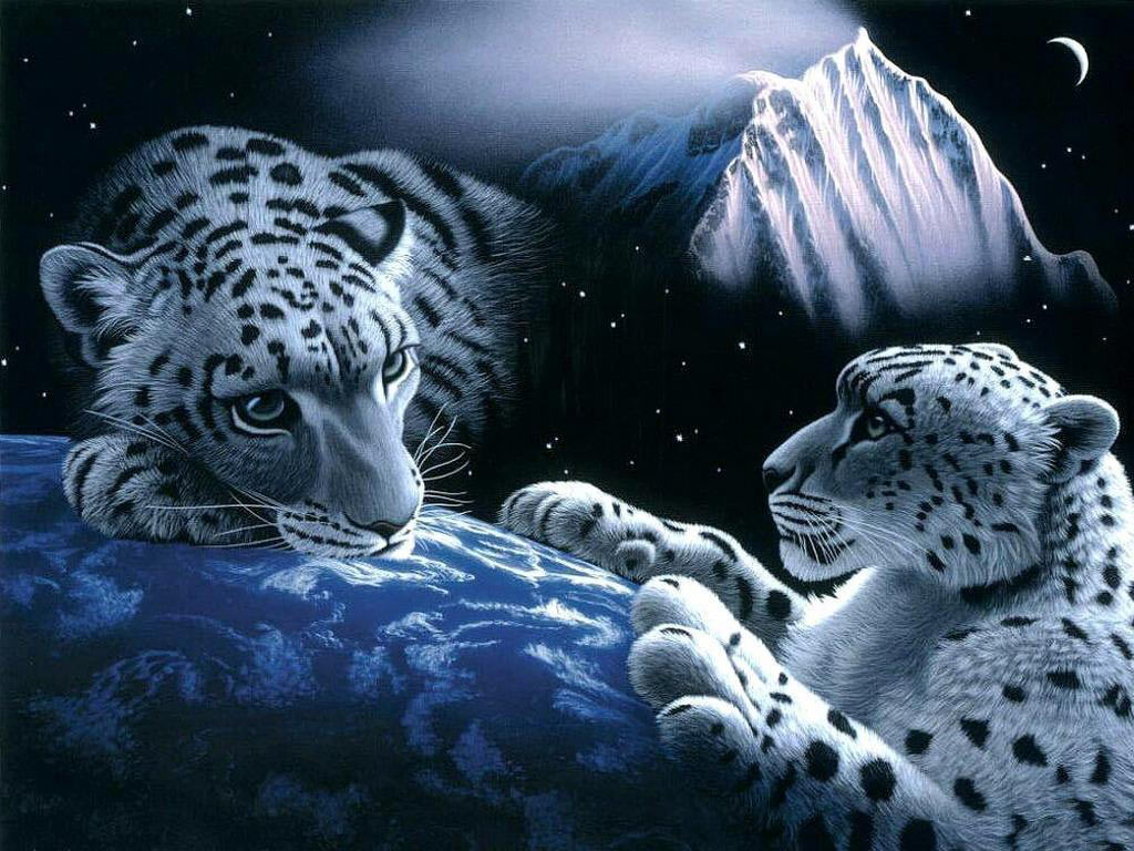 Desktop Background 3d Graphics Snow Leopards