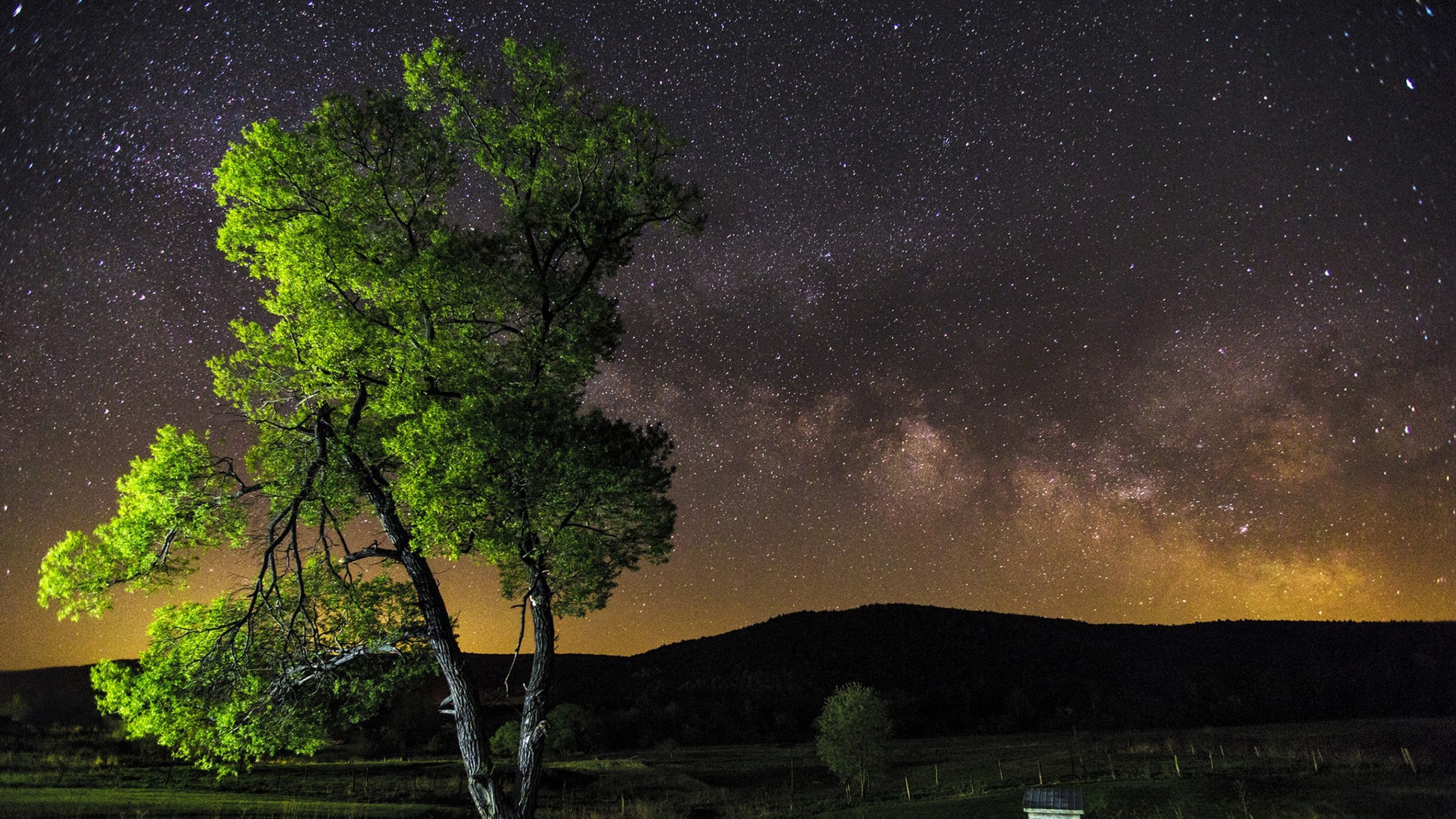 Wallpaper Night Sky Stars Tree 4k Ultra HD Background