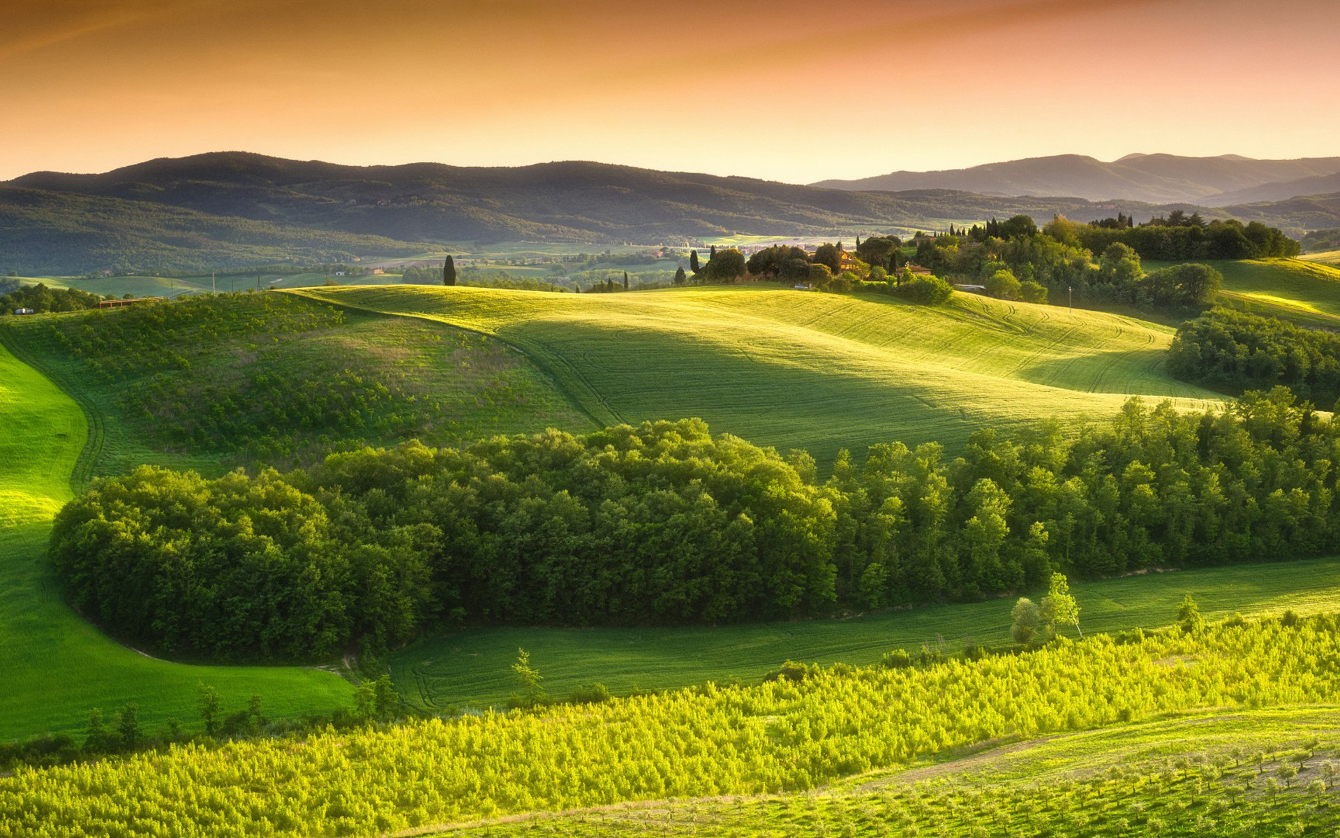 Italy Tuscan Countryside HD Wallpaper