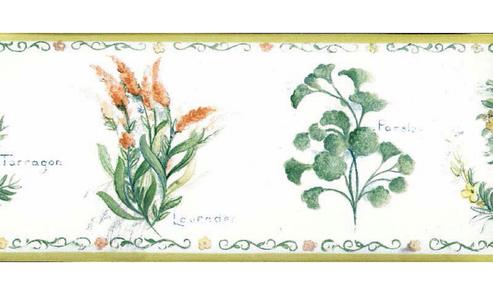 Free download Home White Background Red Flower Wallpaper Border