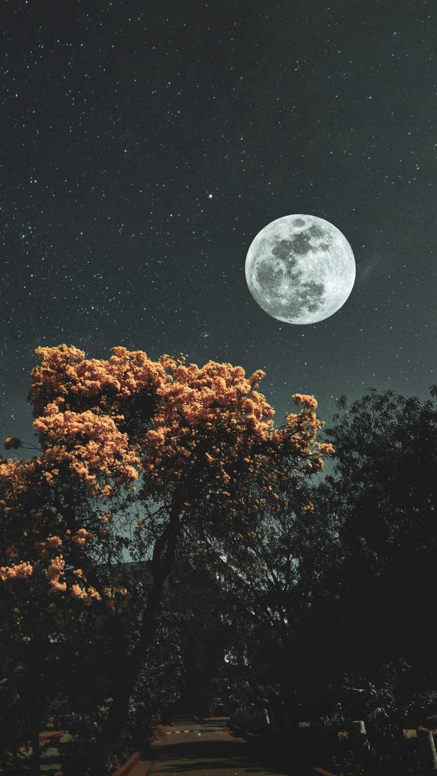 iPhone Wallpaper Moon And Stars Ps Phone