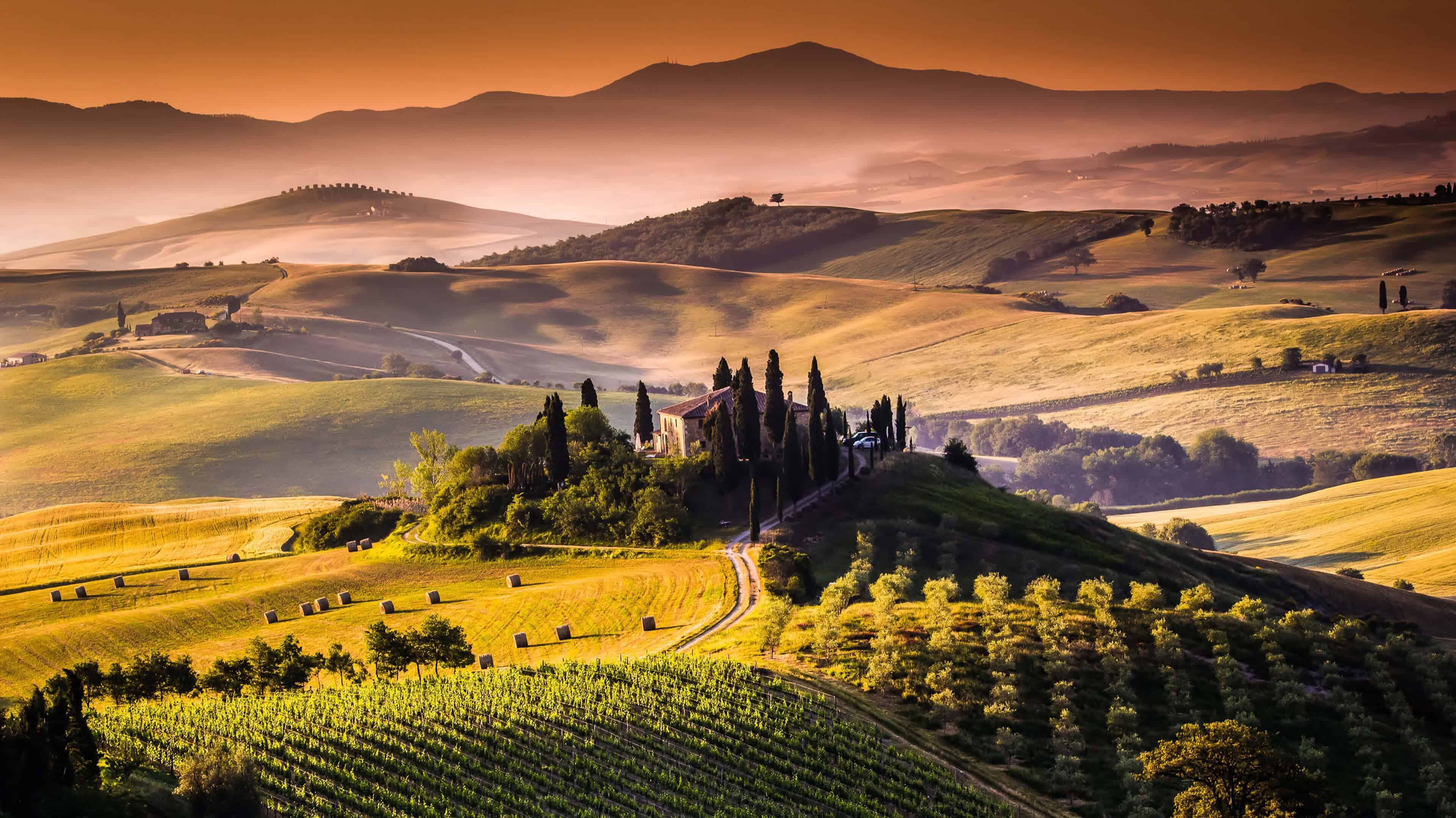 Vinyard And Mountains In Tuscany Italy UHD 4k Wallpaper