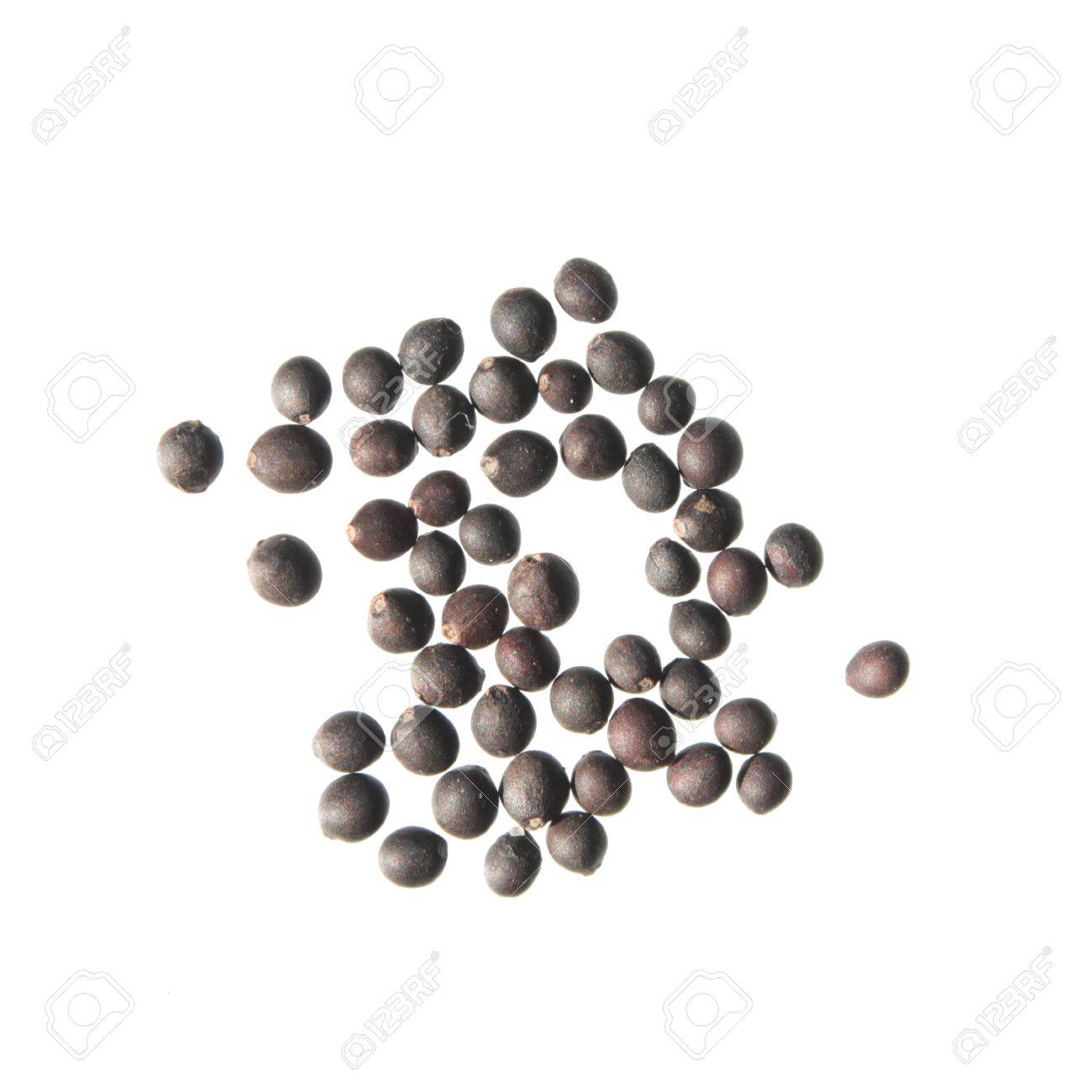 Seeds Of Sage Salvia Officinalis On White Background Stock Photo