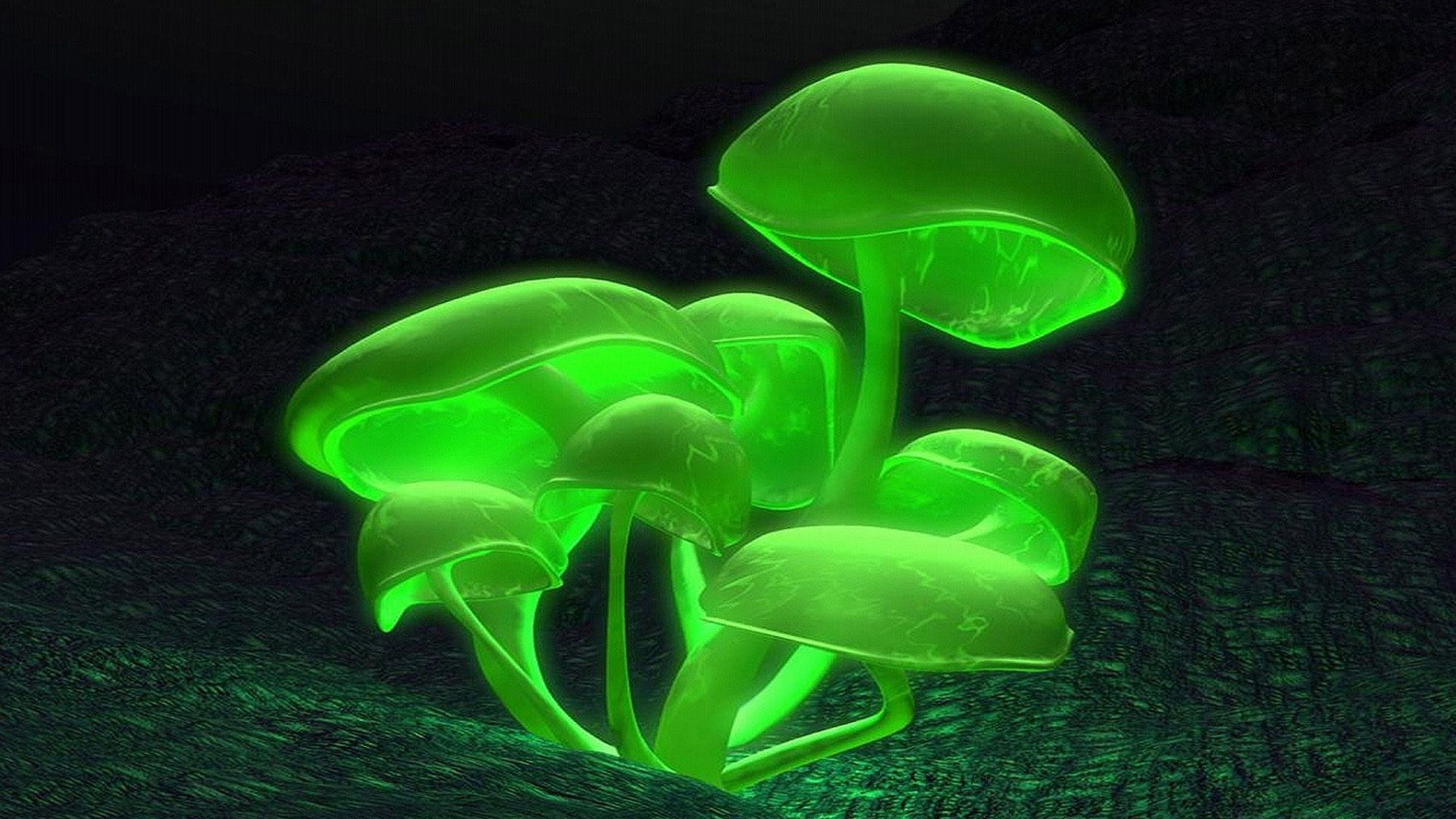 Free download 3D Neon mushrooms Wallpapers monster energy Pinterest  [1920x1080] for your Desktop, Mobile & Tablet | Explore 32+ Mushrooms  Wallpapers | Mario Mushrooms Wallpaper, Magic Mushrooms Wallpaper,  Mushrooms Wallpaper