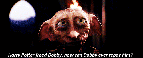 D Dobby How Can Ever Repay Him Harry Just Promise Me