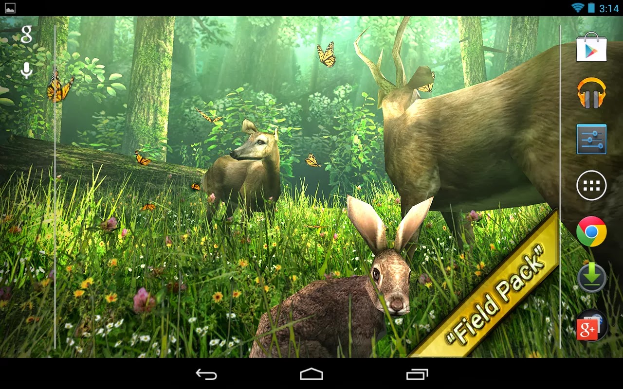 Forest HD Live Wallpaper V1 Apk Android