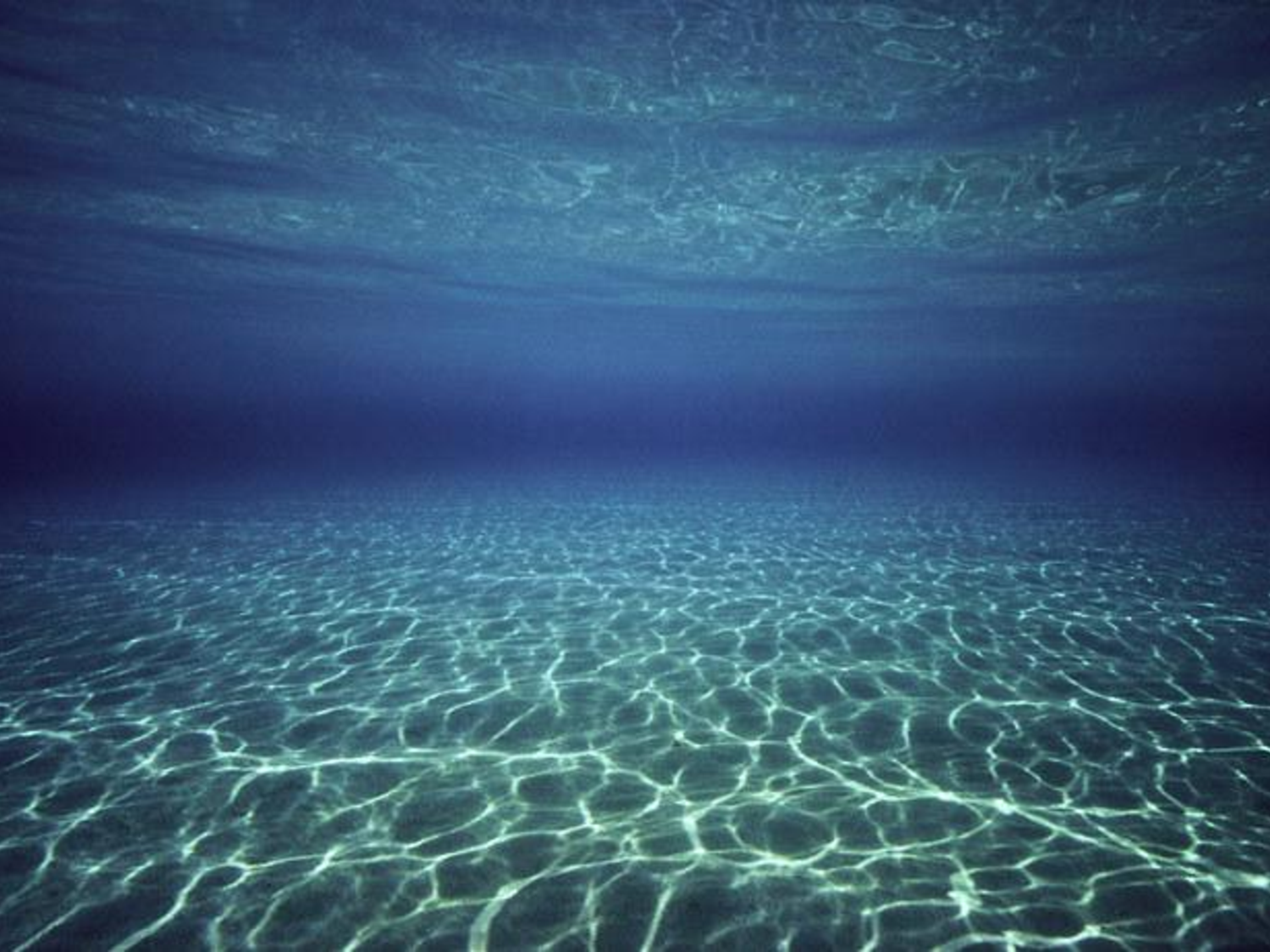 Underwater Crystal Clear Ocean Photo Theme Slide By Misspowerpoint