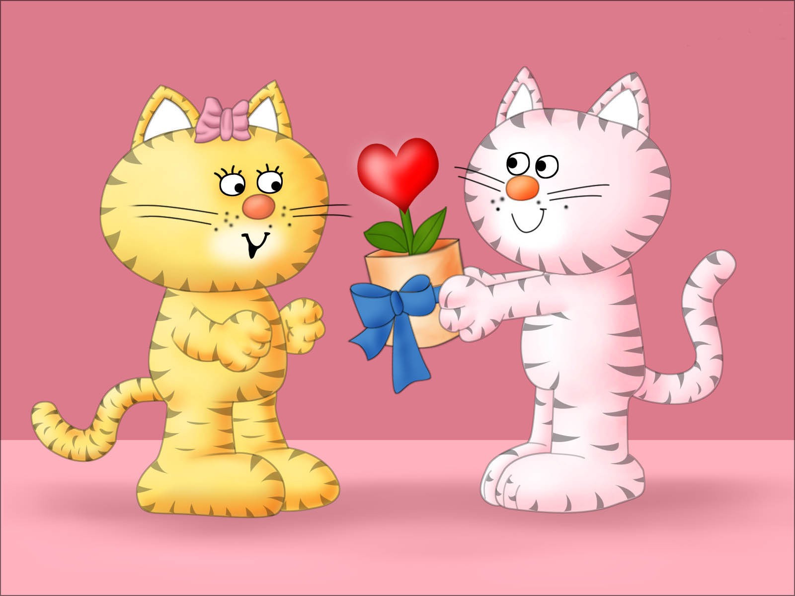 Cat Love On Valentine S Day February Wallpaper And Image