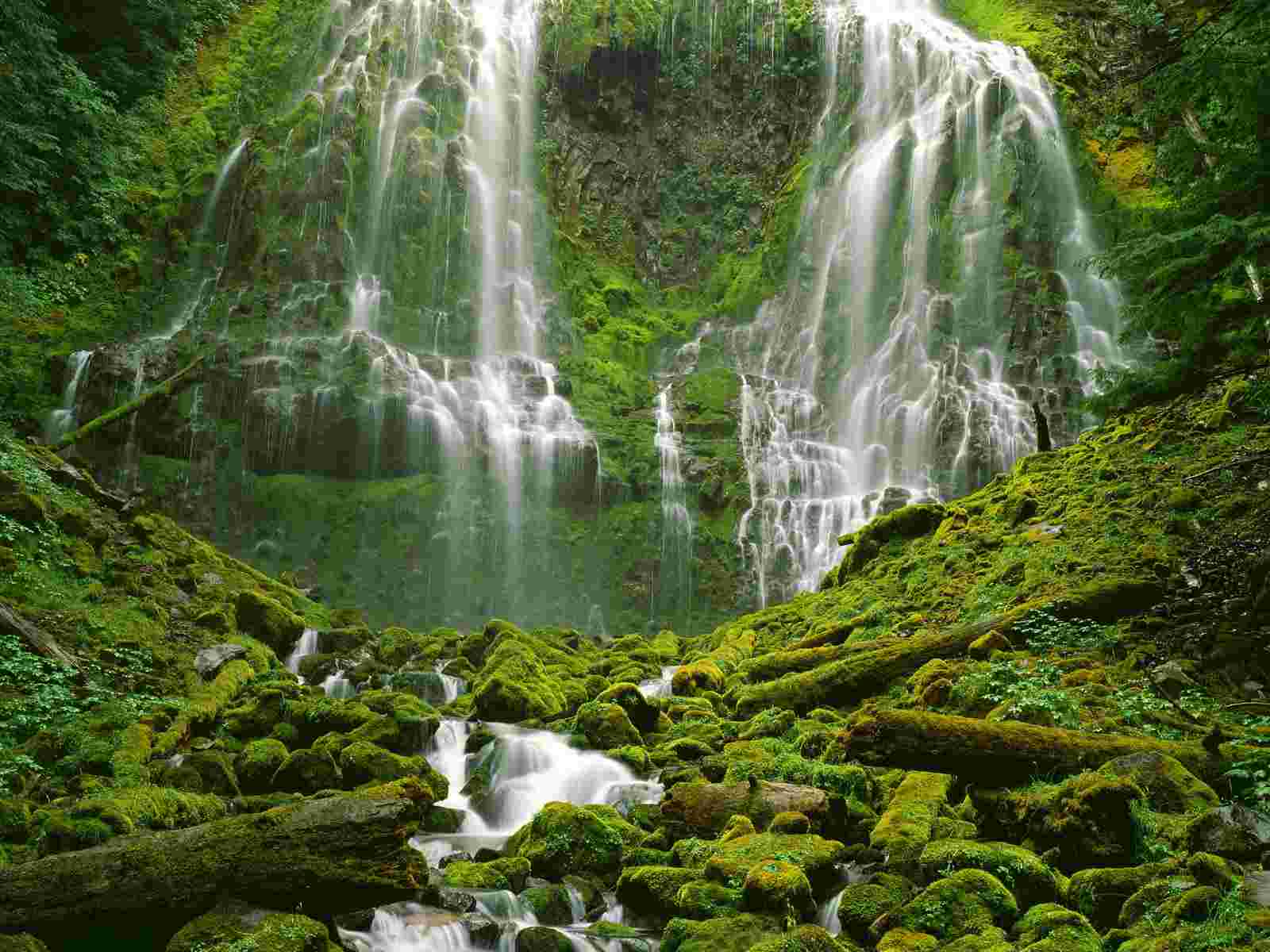 Proxy Falls Three Sisters Wilderness Oregon Wallpaper Waterfalls