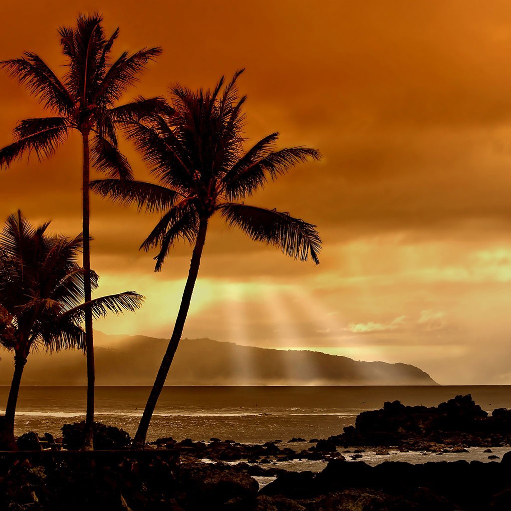 Tropical sunset Wallpaper for iPad and Galaxy Tab   Tablet iPad