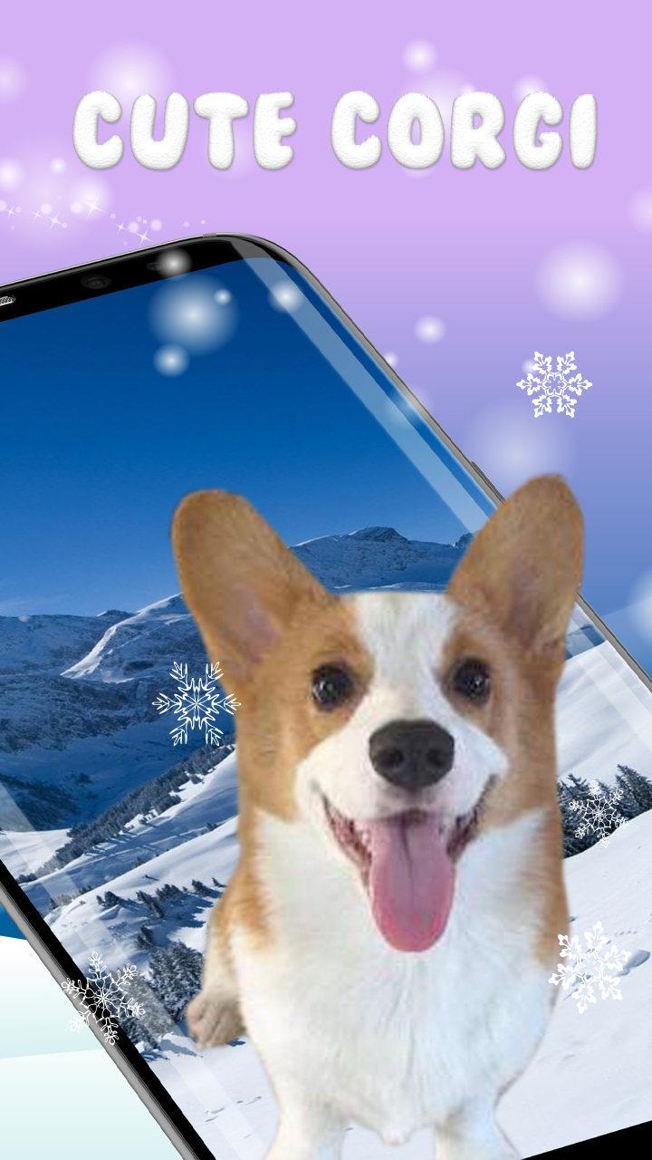 3d Rump Shaking Corgi Dog Theme Live Wallpaper For Android Apk