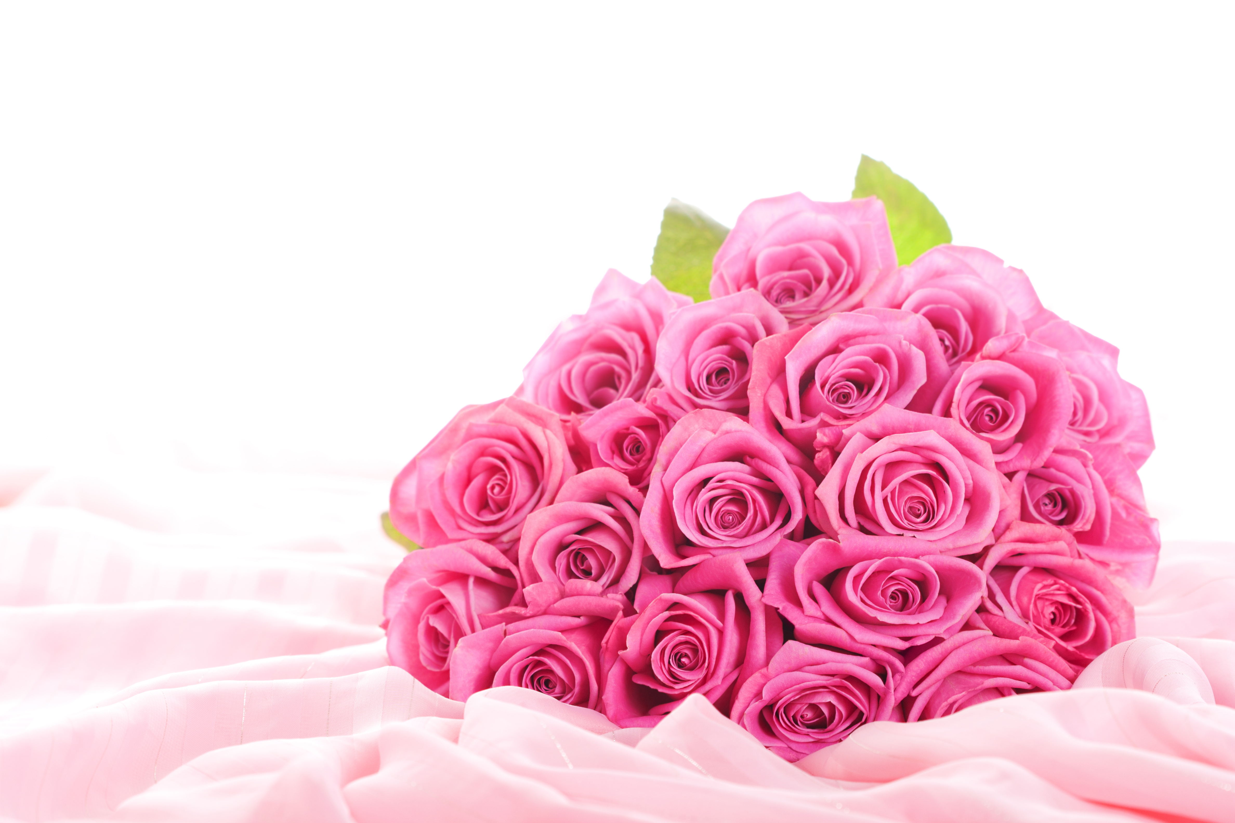 flowers roses pink flowers pink roses bouquet elegant flower buds