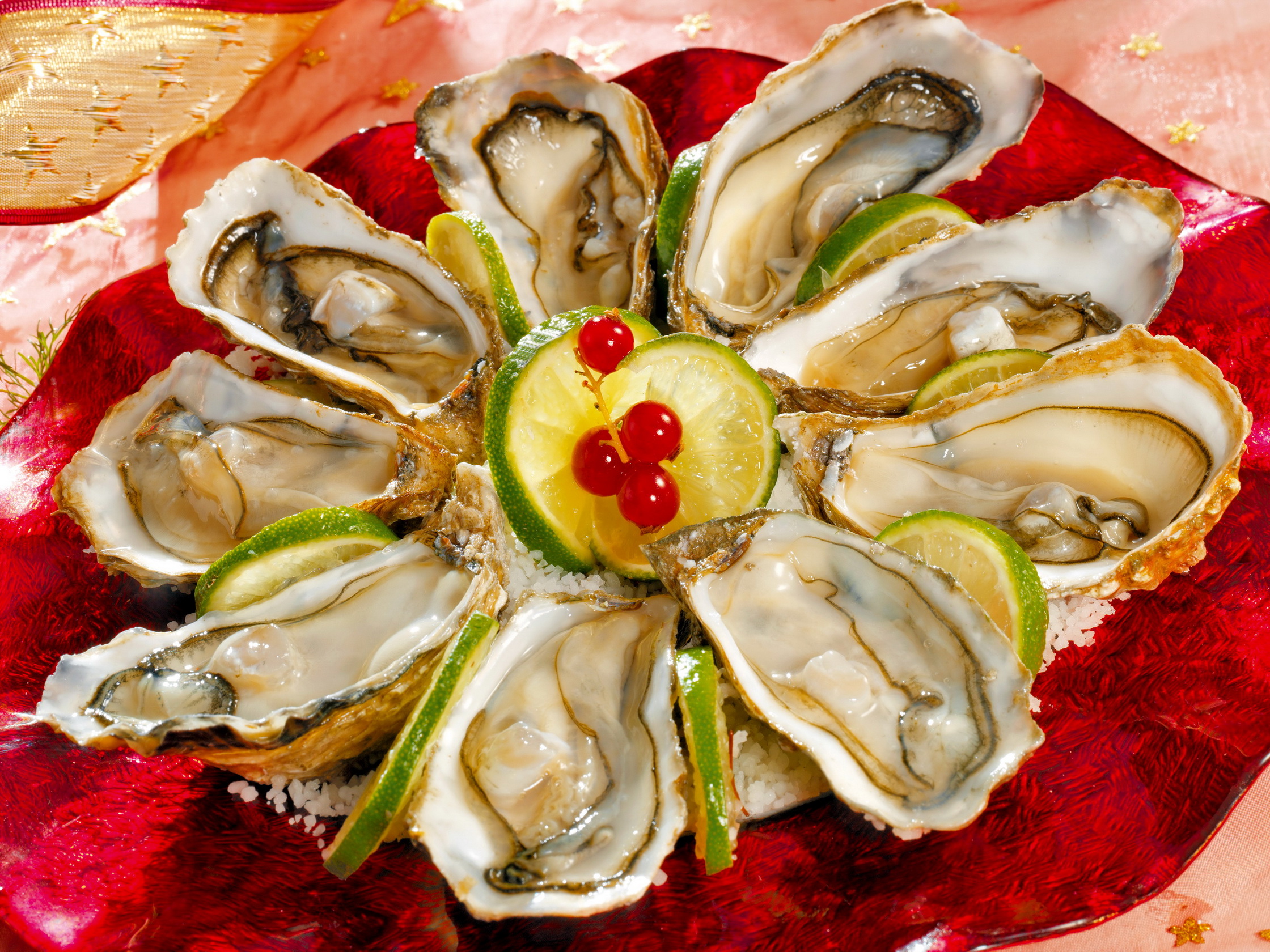 Seafood HD Wallpaper And
