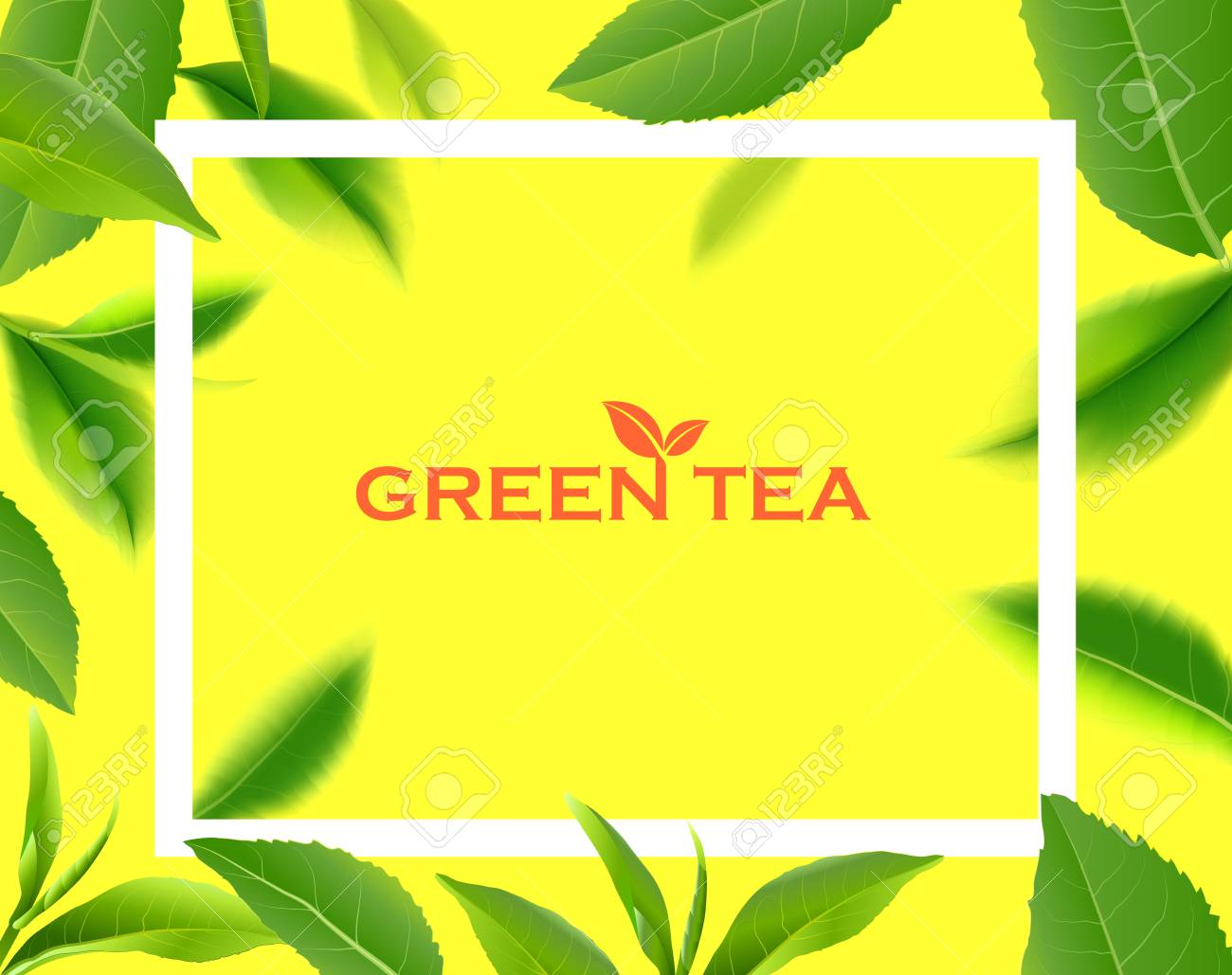 Green Tea Leaves Manu And Postcard Vector Nature Background