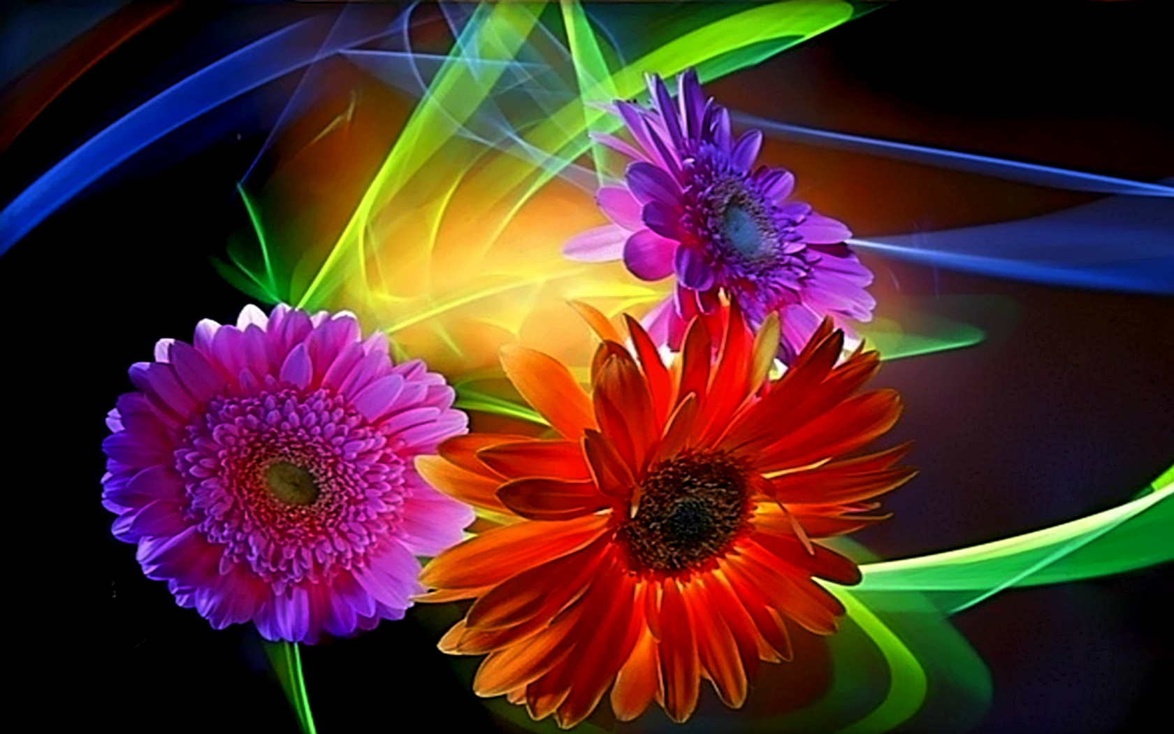 Free download The most beautiful Flower Wallpapers of the World ...