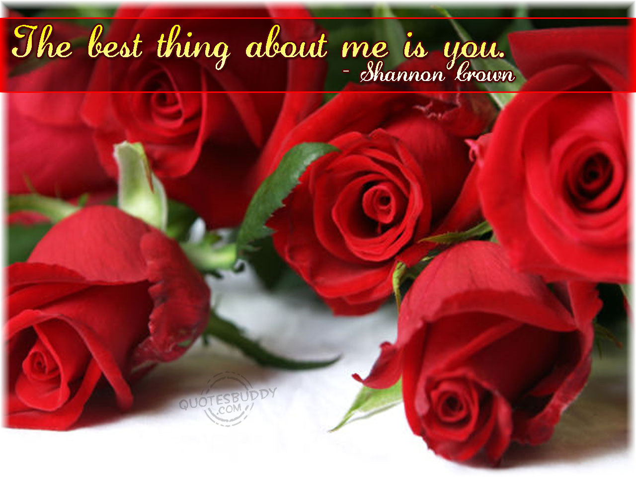 Image Red Roses I Love You Quotes For Him