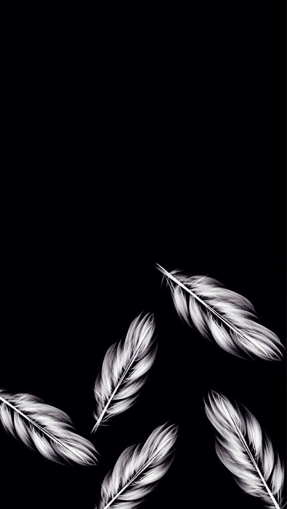 Feather Wallpaper For iPhone Black And White Phone