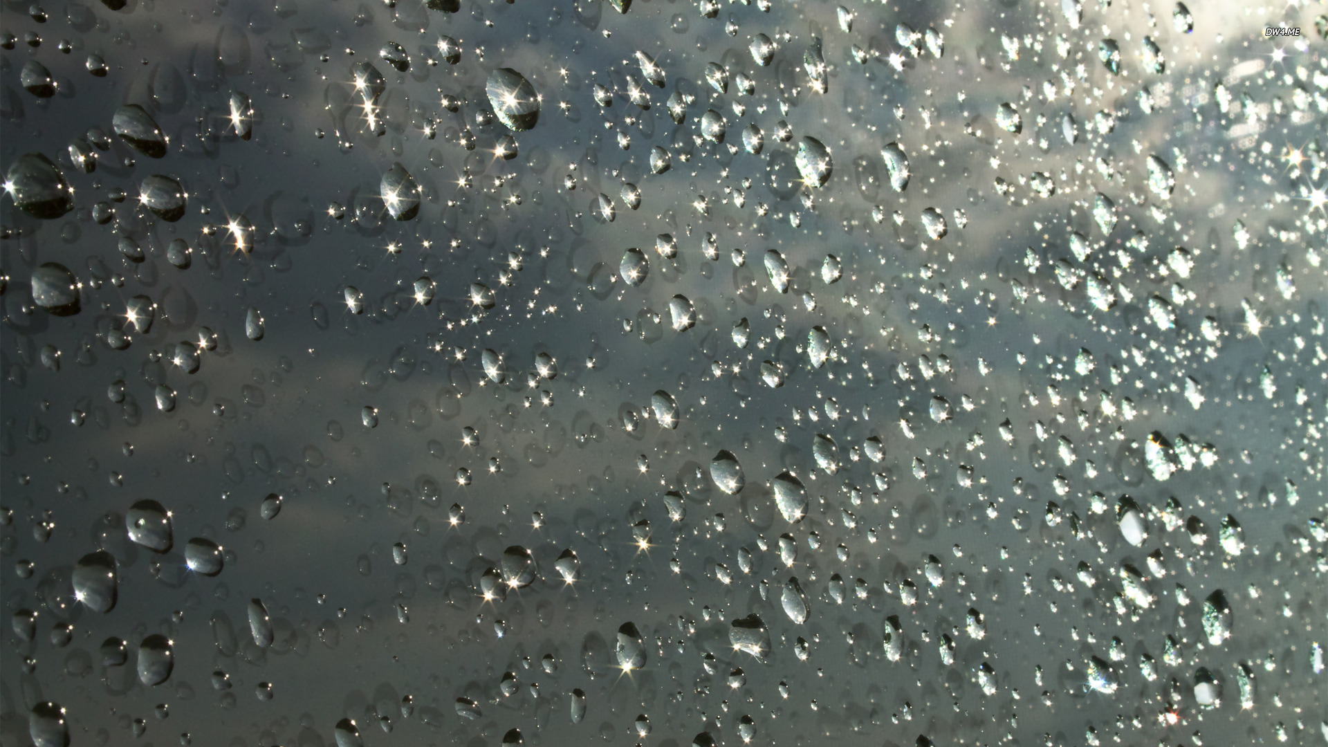 Sparkling Raindrops Wallpaper Photography