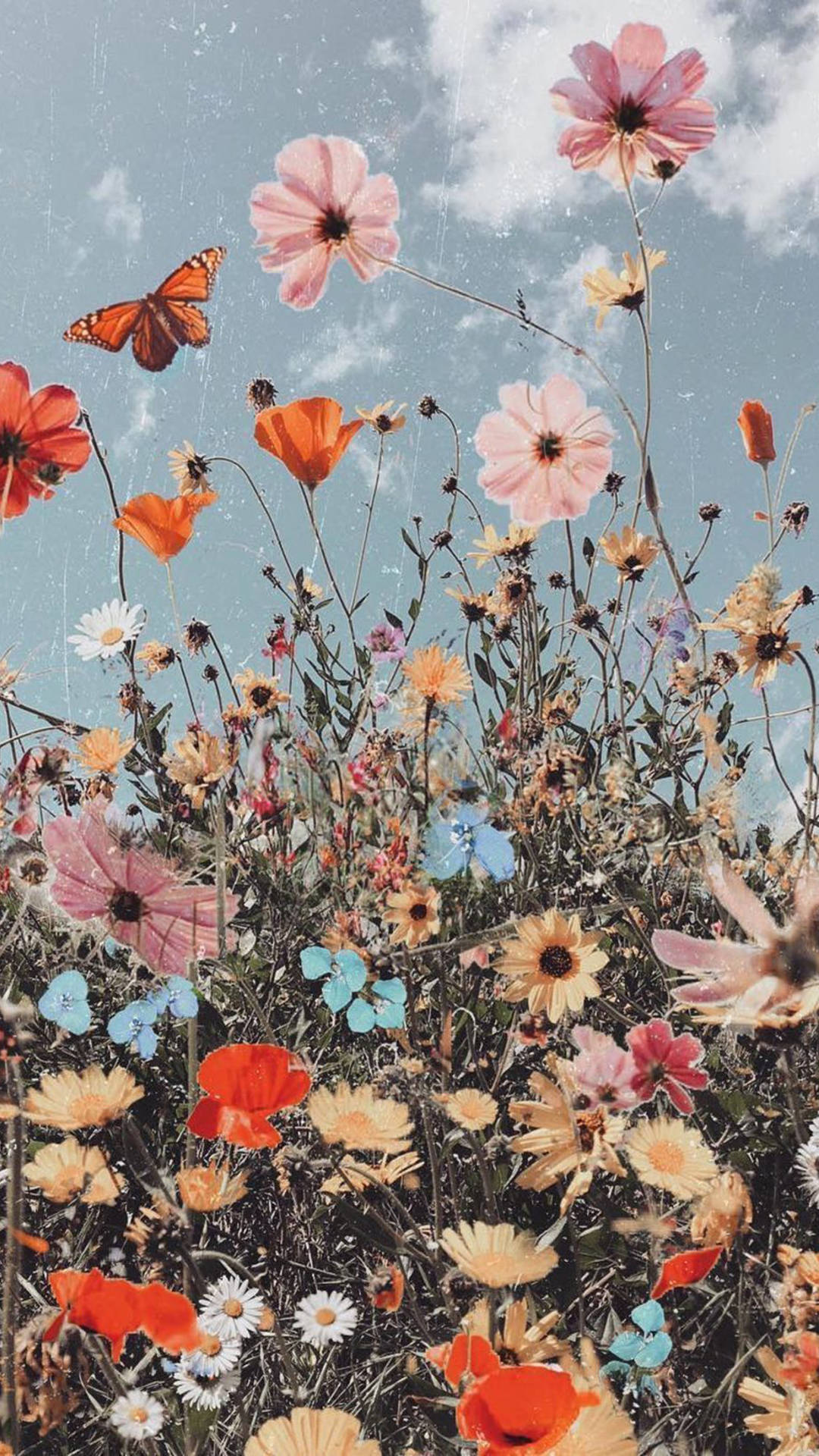 Aesthetic Boho Wallpaper
