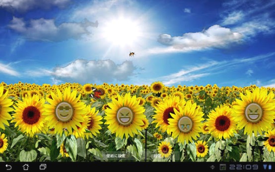 Android Live Wallpaper Sunflowers