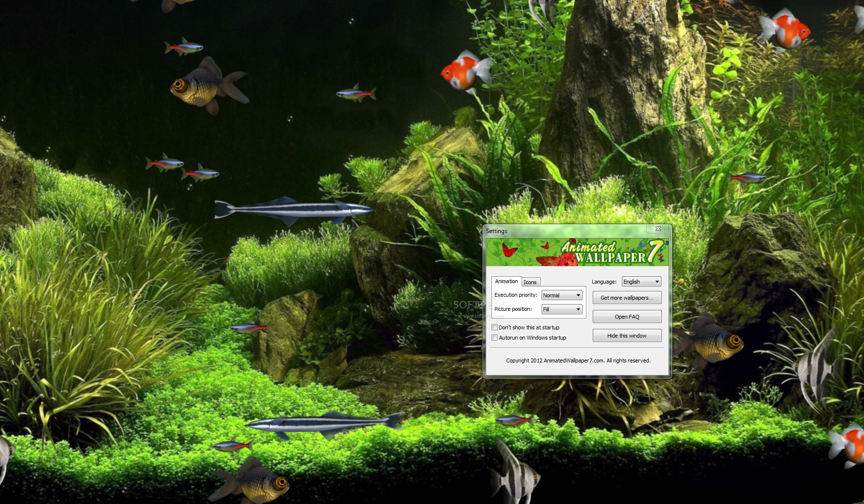 Virtual Aquarium Animated Wallpaper This Is How Your Desktop Will