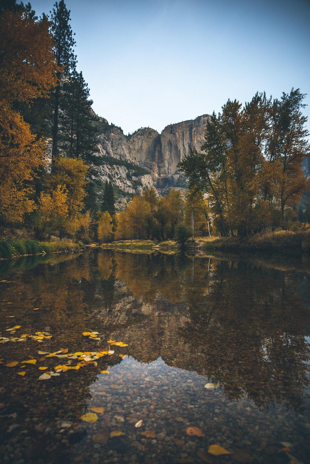 Landscape Photography Of Lake Surrounded With Trees Photo