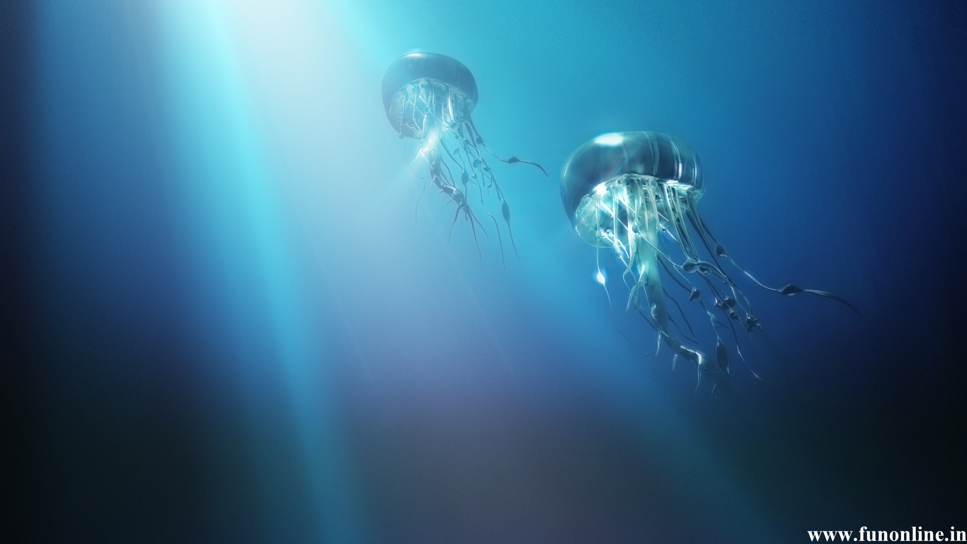 Underwater Jellyfish Wallpaper Wall