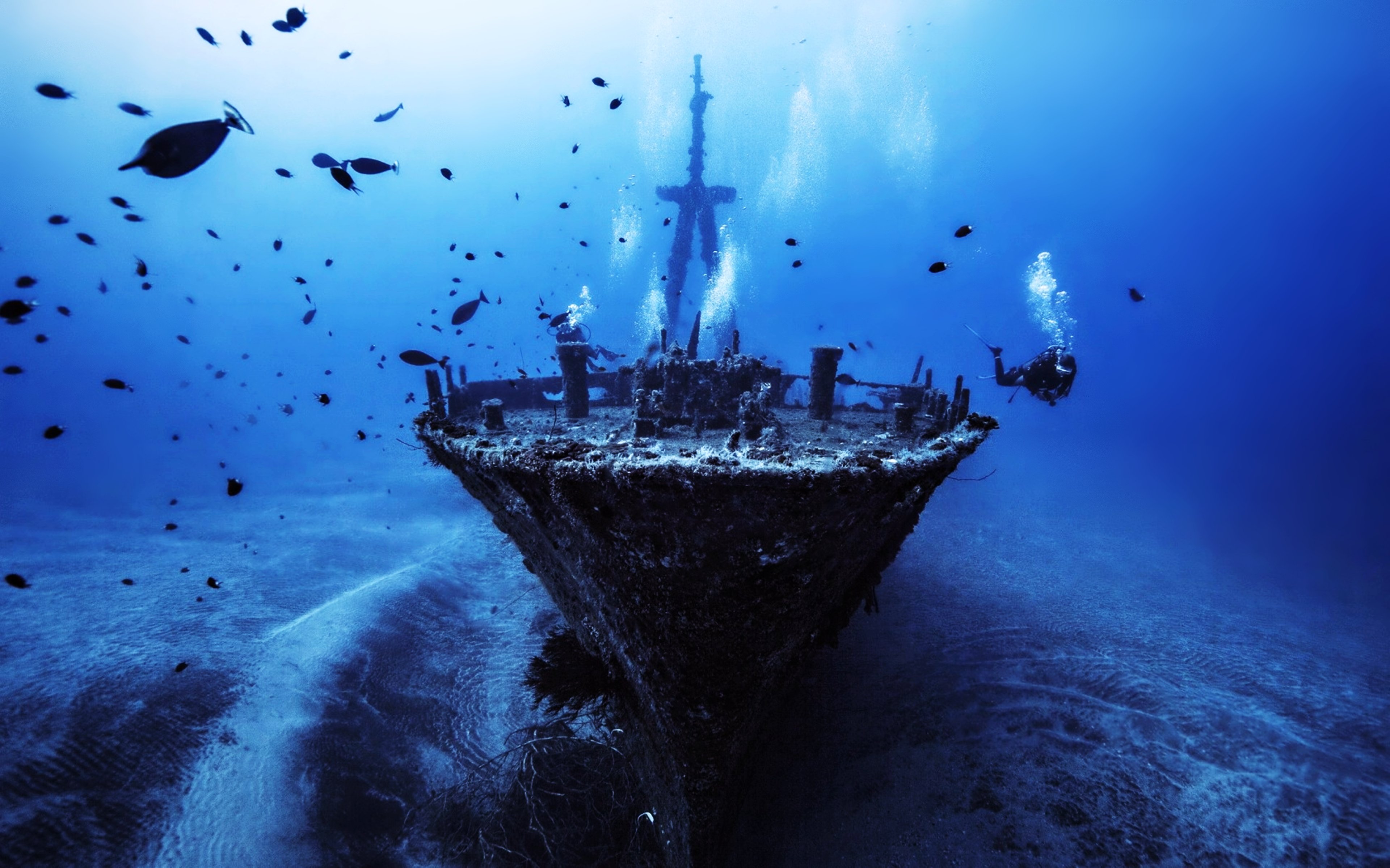 Boat Deep Depth Discover Fish Old Sea Ship Sunken Wallpaper Background