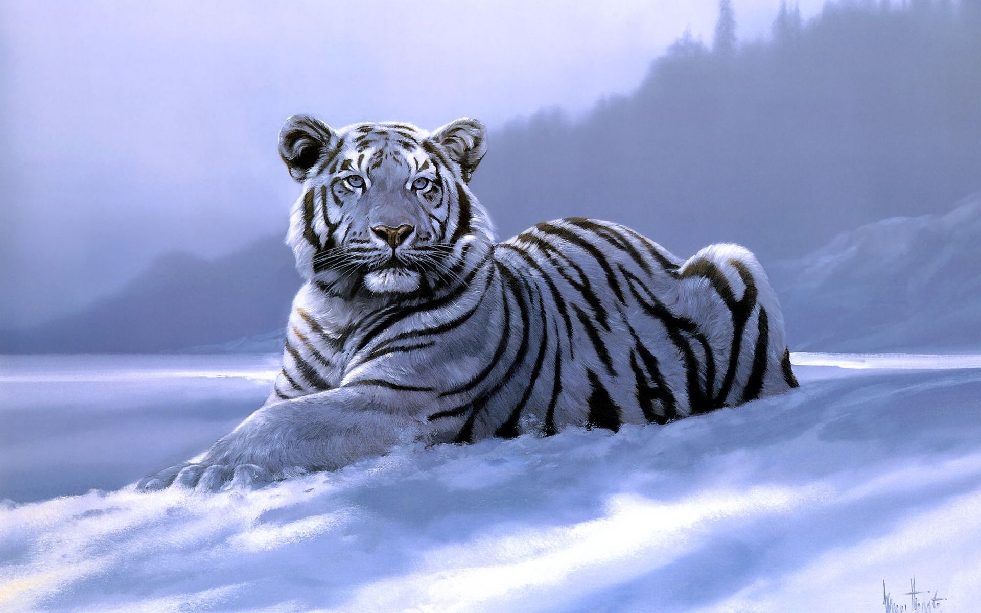 White Tiger Wallpaper Desktop Which Is Under The