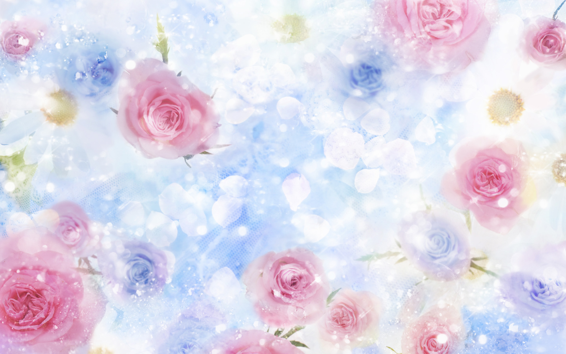 Roses Desktop Background Wallpaper High Definition Quality