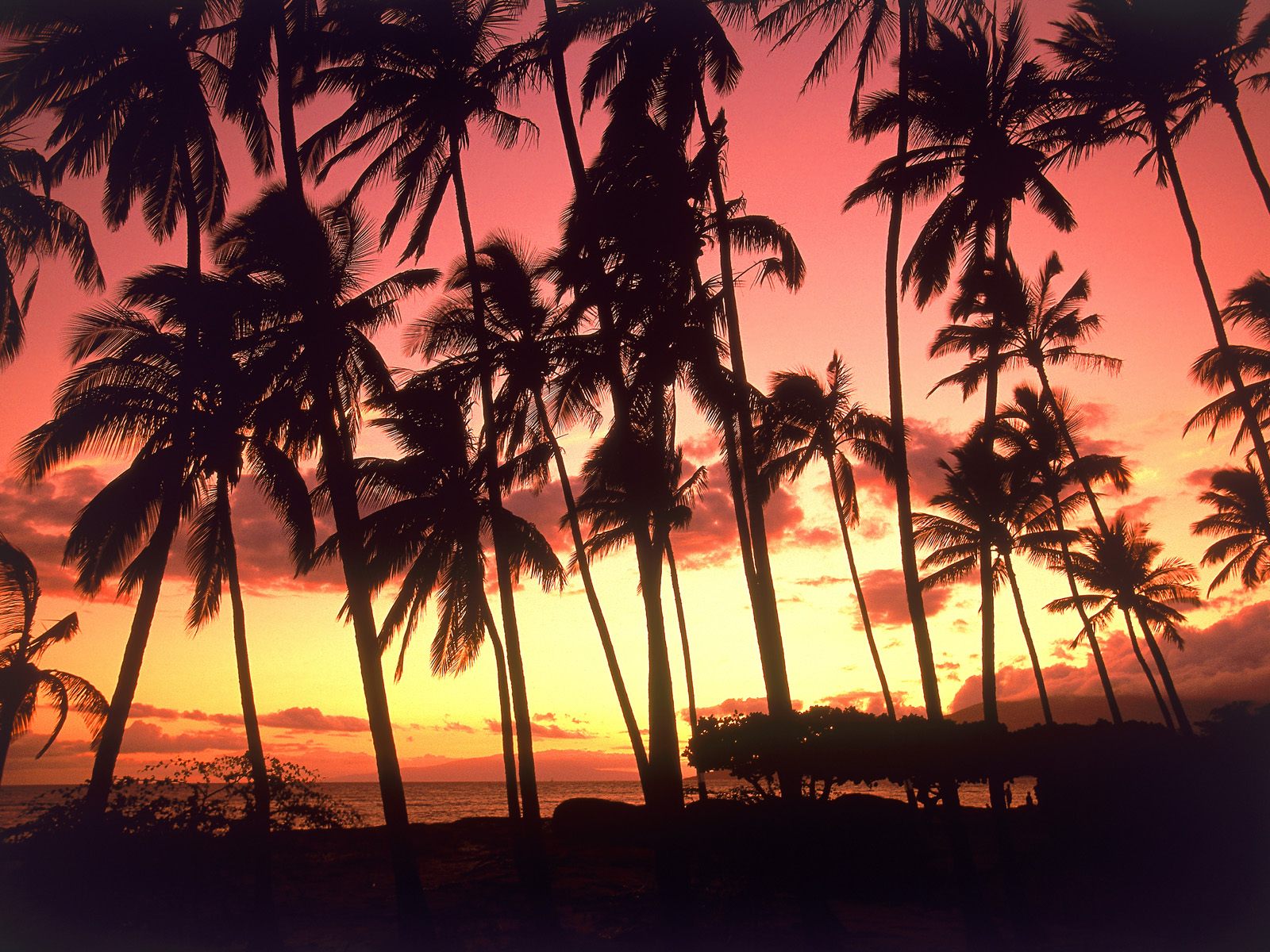 Terms Hawaii Sunset Havajai Pictures