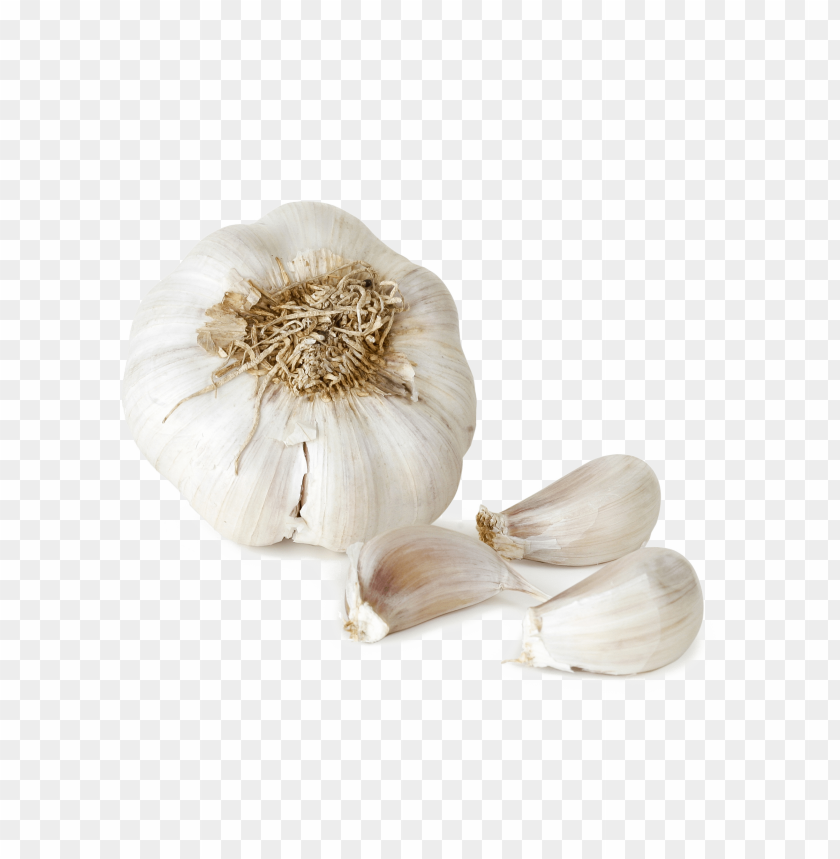 Garlic Png File Image Background Toppng