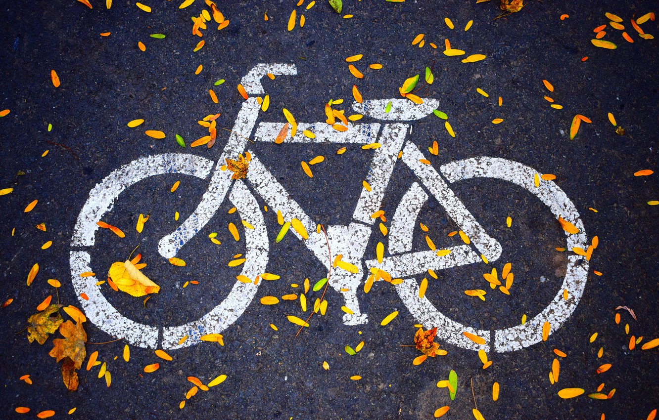 Wallpaper Autumn Asphalt HDr The Sidewalk Bike Path Drawing