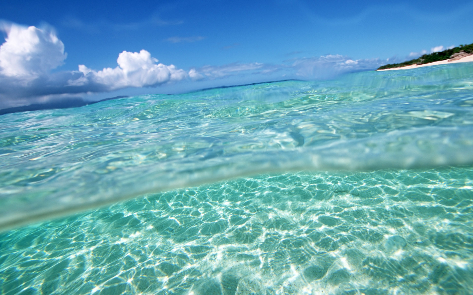 Under Water Wallpaper And Image