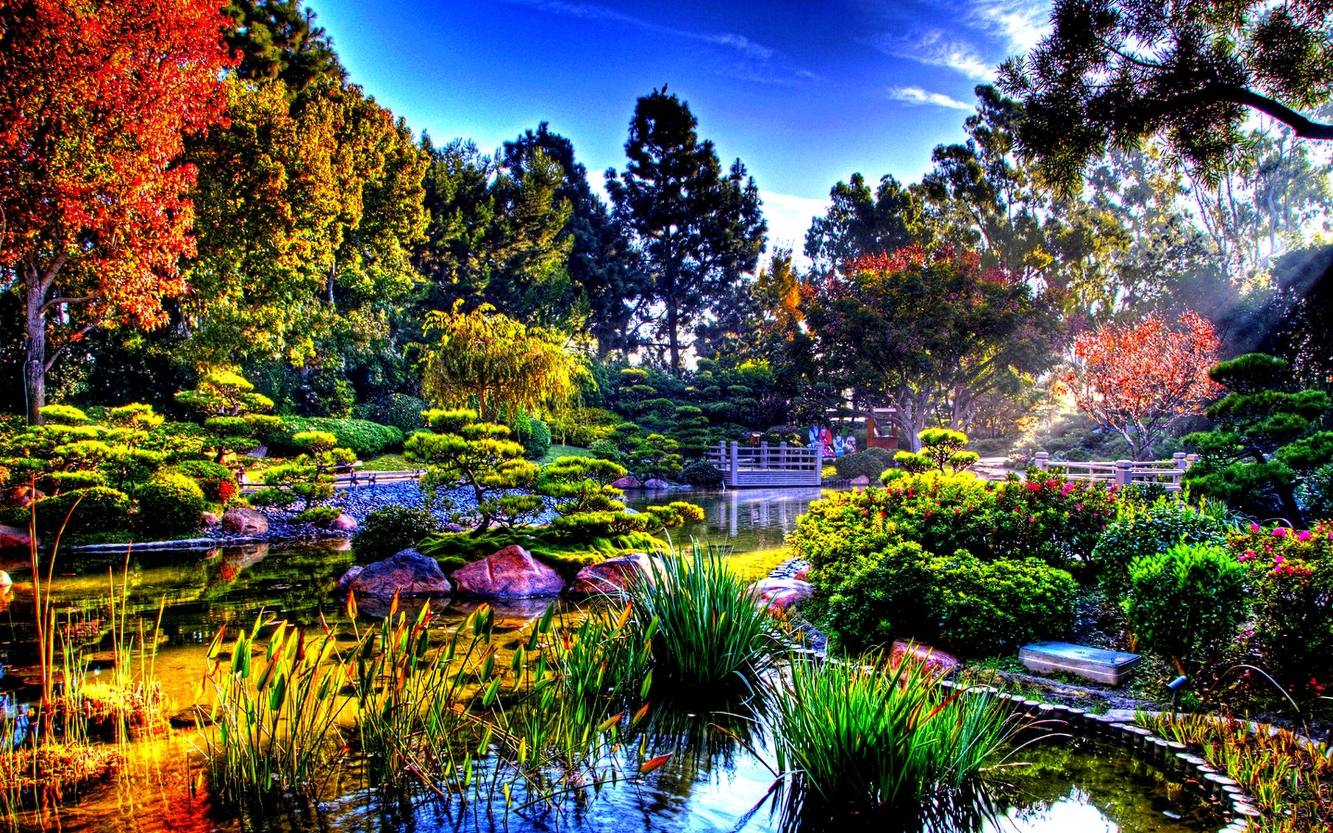 Japanese Garden Wallpaper Image Amp Pictures Becuo